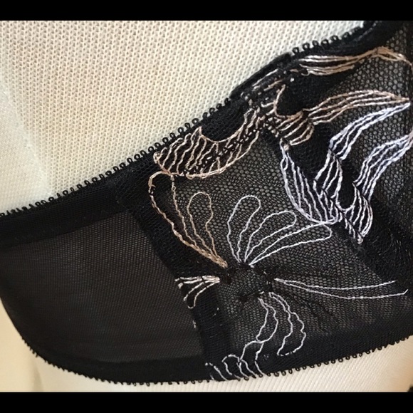 PARAMOUR stunning lace on stretch tulle under wire bra - Picture 5 of 8